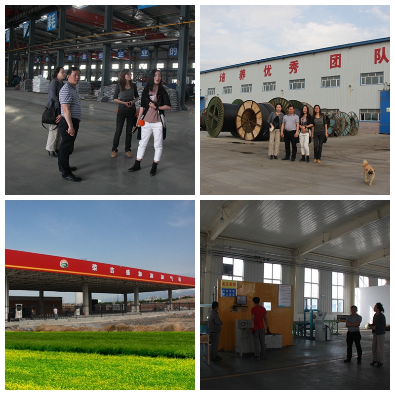 1548909652103332.jpg xll h.jpg