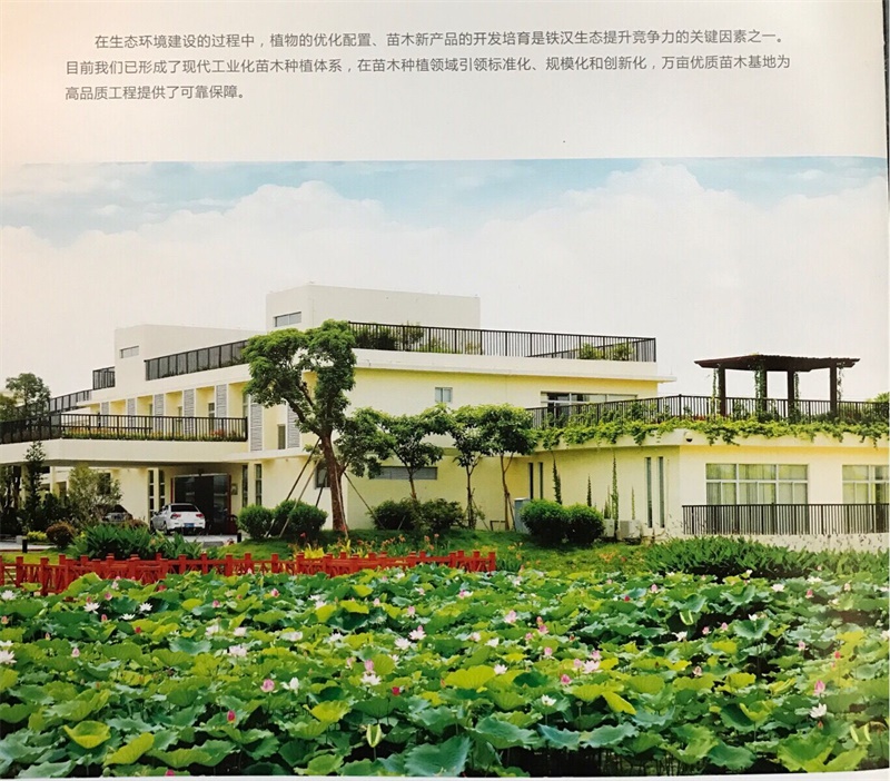 QQ图片20171020120915.jpg