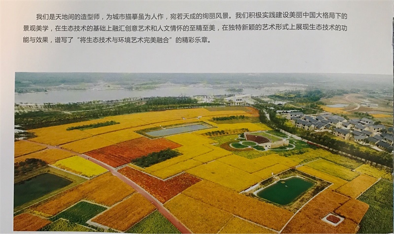 QQ图片20171020120933.jpg