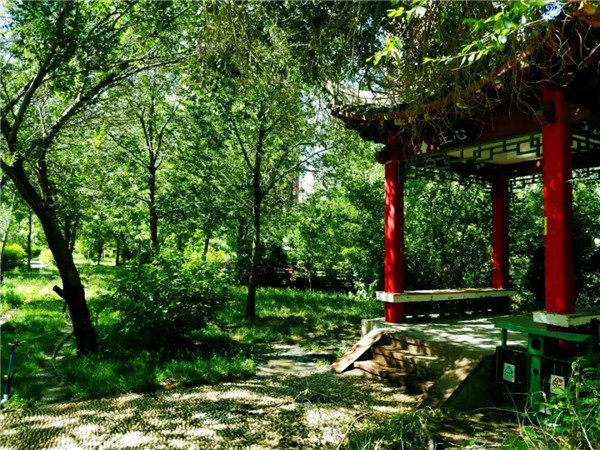 1628228930602617.jpg 3.jpg