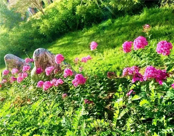 1628228938116775.jpg 4.jpg