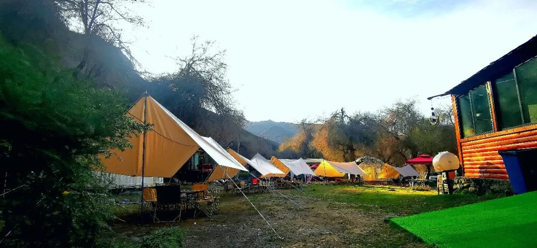 1655960046276608.jpg 5.jpg