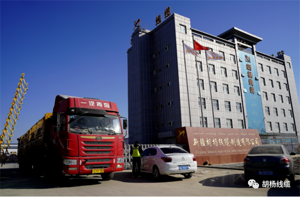 1655975789101021.png 5.png